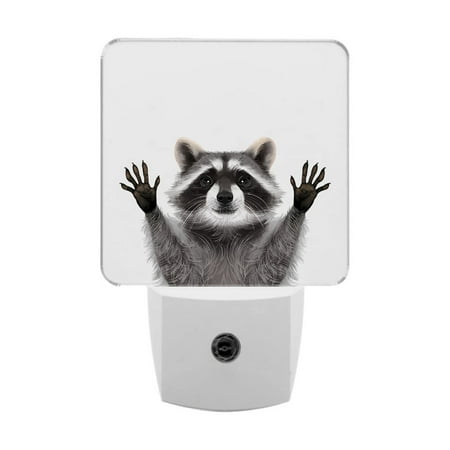 

WIRESTER Plug-in Led Wall Night Light Shade Night Light - Racoon Hands Out