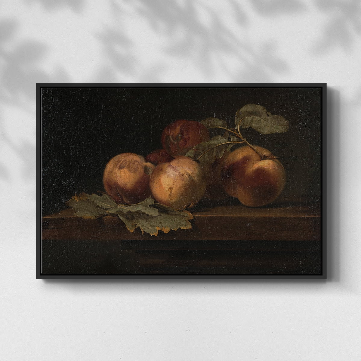 Vintage Botanical Print-LXXIX By Wexford Home Framed in Black Wood Gallery Wrapped Canvas 25 in. x 37 in.