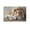 Unframe-style, variant on Christian Home Wall Decor Art - Lion And Lamb Canvas Print Judas Lion Poster Bible Text God Painting Wall Art Poster Scroll Canvas Painting Picture Living Room Decor Home 24x36inch(60x90cm)