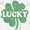 White, variant on Lucky 4 Leaf Clover St Patrick's Day Sweatshirt for Men or Women Brisco Brands S