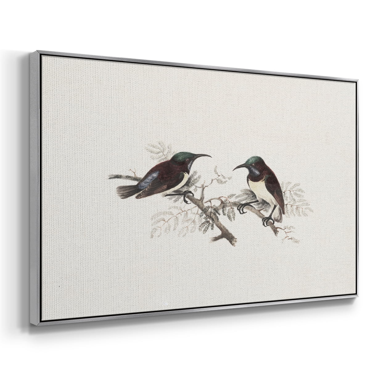 Vintage Animal Print-III By Wexford Home Framed in Silver Wood Gallery Wrapped Canvas 17 in. x 25 in.