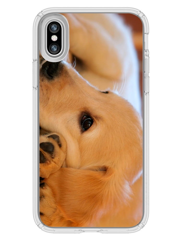 Image Of Golden Retriever Dog Puppy Laying on Floor Looking at Camera ...