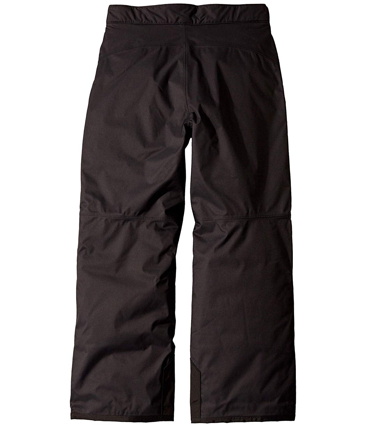 Buy The North Face Kids Freedom Insulated Pants (Little Kids/Big Kids ...
