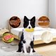 thumbnail image 4 of Juguete para masticar perro y gato | Juguete interactivo duradero para el cuidado bucal de mascotas | Texturizado para la salud de los dientes y las encías - Diseño compacto robusto | Uso interior y, 4 of 6