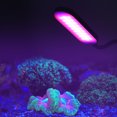thumbnail image 3 of Clip Plant Light, 5W LED ajustable Plant Clip Plant Grow Light LED Grow Light Experiencia incomparable, 3 of 9