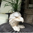 thumbnail image 2 of Homestyles Antique White American Eagle Mascot Muggly Animal Statue Humorous Planter Pot, 2 of 4