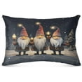 thumbnail image 2 of Cute Christmas Gnome Plush Pillow Case, Zippered Bed Pillow Pillowcases, Super Soft and Cozy Pillowcase Covers for Sleep Decor Giftsation - King Size 20x40in, 2 of 7