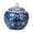 Style C, variant on Traditional Chinoiserie Ginger Jars Ceramic Storage Jars Tea Storage Jar Table Centerpieces Decoration Blue and White Vase for Desktop Home Style C