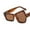 Brown, variant on Brown Sunglasses Accessories for Women Resin Trendy Classic Square 70S 80S 90S Vintage Shades Double Bridge Aviators One Size