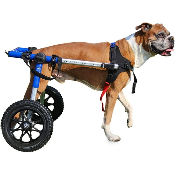 Walkin' Wheels Dog Wheelchair - Vet Approved - Med to Large Dogs 50 - 69 lbs
