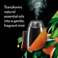 thumbnail image 2 of Air Wick Essential Mist, Fragrant Mist Diffuser Refill Mandarin Sweet Orange 1 ea (Pack of 3), 2 of 11