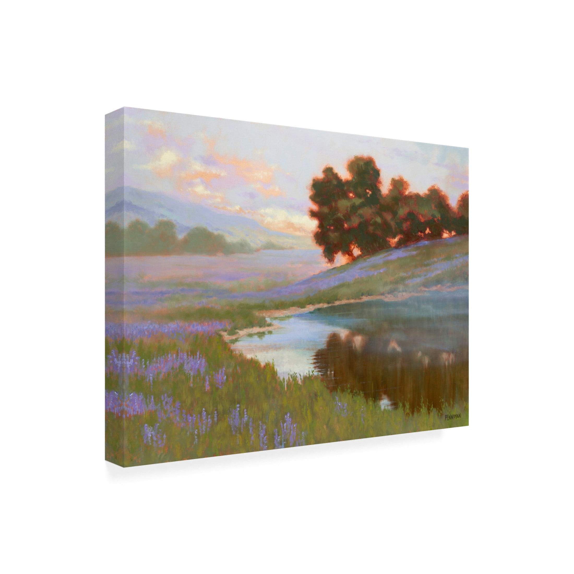 Canvas Wall Art - Ed Penniman 'Pastel Lupin' Wall Art for Living Room, Bedroom, or Office Décor by Trademark Fine Art - 24 x 18 Inches