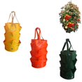 thumbnail image 2 of El jardín colgante crece los bolsos del libro de hierbas de la flor de la fresa del tomate de los bolsos la fresa de 3 galones crece la hierba del PE de los bolsos, 2 of 5