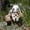 B, variant on Viking Victor Norse Dwarf Gnome Statue, Door Greeting Nordic Dwarf Warriors, for Home Indoor Outdoor Yard Backyard Porch Decorations