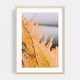 thumbnail image 2 of Yellow Fern - Visalia California Photography Botanical Autumn Nature Pastel Floral Minimalist Tropical Unframed Wall Art Print 20 x 30 inches, 2 of 60