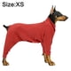 thumbnail image 2 of Ropa para perros Otoño e Invierno Pelo Dorado Perro Mediano Perro Grande Ropa para mascotas, 2 of 6