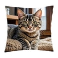 thumbnail image 3 of Throw Pillow Cover 18x18 Inch Cute Embroidery Pattern Short Lint Soft Breathable Decorative Pillowcase for Sofa Living Room Home by MPOISVA, 3 of 7