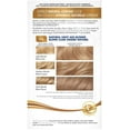 thumbnail image 2 of Clairol Nice 'n Easy Permanent Color, Natural Light Ash Blonde 1 ea, 2 of 3