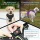 thumbnail image 4 of Arnés LED para perros Vizbrite Light Up, recargable, para perros, 4 of 6