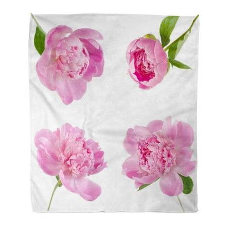 Pink Rose Bud Print - ASHLEIGH Flannel Throw Blanket Floral Pink Bud Peony Flowers White Purple Rose Bunch Soft for Bed Sofa and Couch 58x80 Inches