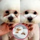 thumbnail image 2 of 130 piezas/juego de toallitas limpiadoras para perros y gatos, toallitas para los ojos de las mascotas, toallitas para el cuidado de las lágrimas, toallitas suaves sin espuma, toallas, 2 of 5
