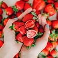 thumbnail image 3 of TruFru Milk Strawberries, 170g, 3 of 6