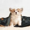 thumbnail image 4 of Disketp Full Moon Black Dragon Dog Blanket/Bed Cover for Dogs and Cats,Puppy Essentials-, 4 of 8