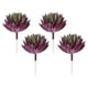 thumbnail image 1 of Uxcell Mini Suculentas Artificiales Sin Maceta, Picos de Suculentas Falsas, Plantas Suculentas Falsas en Color Verde Oscuro y Púrpura, Paquete de 4, 1 of 5