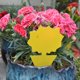 thumbnail image 5 of 24 piezas enchufables Trampa para moscas, placas amarillas, pegatinas amarillas, protección de plantas contra pulgones, moscas de las hojas y alimañas, ideal para plantas en el bal, 5 of 5