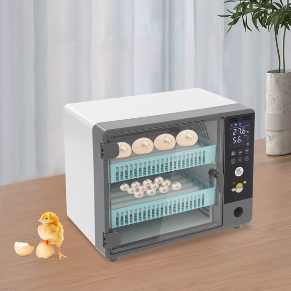 DENEST Digital Egg Incubator for 24 Chicken Duck Eggs, Automatic Turner & PID Temperature Control