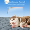 thumbnail image 3 of Washable Soft Dog Crate Mat with Anti-Slip Bottom, Durable Pet Bed Pad for Cages & Home - Multiple Sizes & Colors, 3 of 10