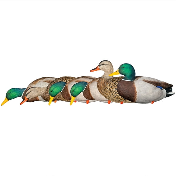 Avian-X Porte des Leurres Mallard 6 PK. Brun
