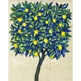 thumbnail image 2 of OToole, Tim 12x14 White Modern Wood Framed Museum Art Print Titled - Lemon Tree Composition II, 2 of 4