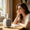 thumbnail image 2 of 2 In 1 Nano Spray Cooling Fan,Cute Fox Shaped Small USB Rechargeable 3 Speed Portable Desktop Fan,Evaporative Air Cooler Desk Fan with Humidifier Function for Dorm Home Office(Gray), 2 of 9