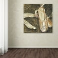 thumbnail image 4 of Trademark Fine Art "Danse II" Canvas Art by Color Bakery, 4 of 4