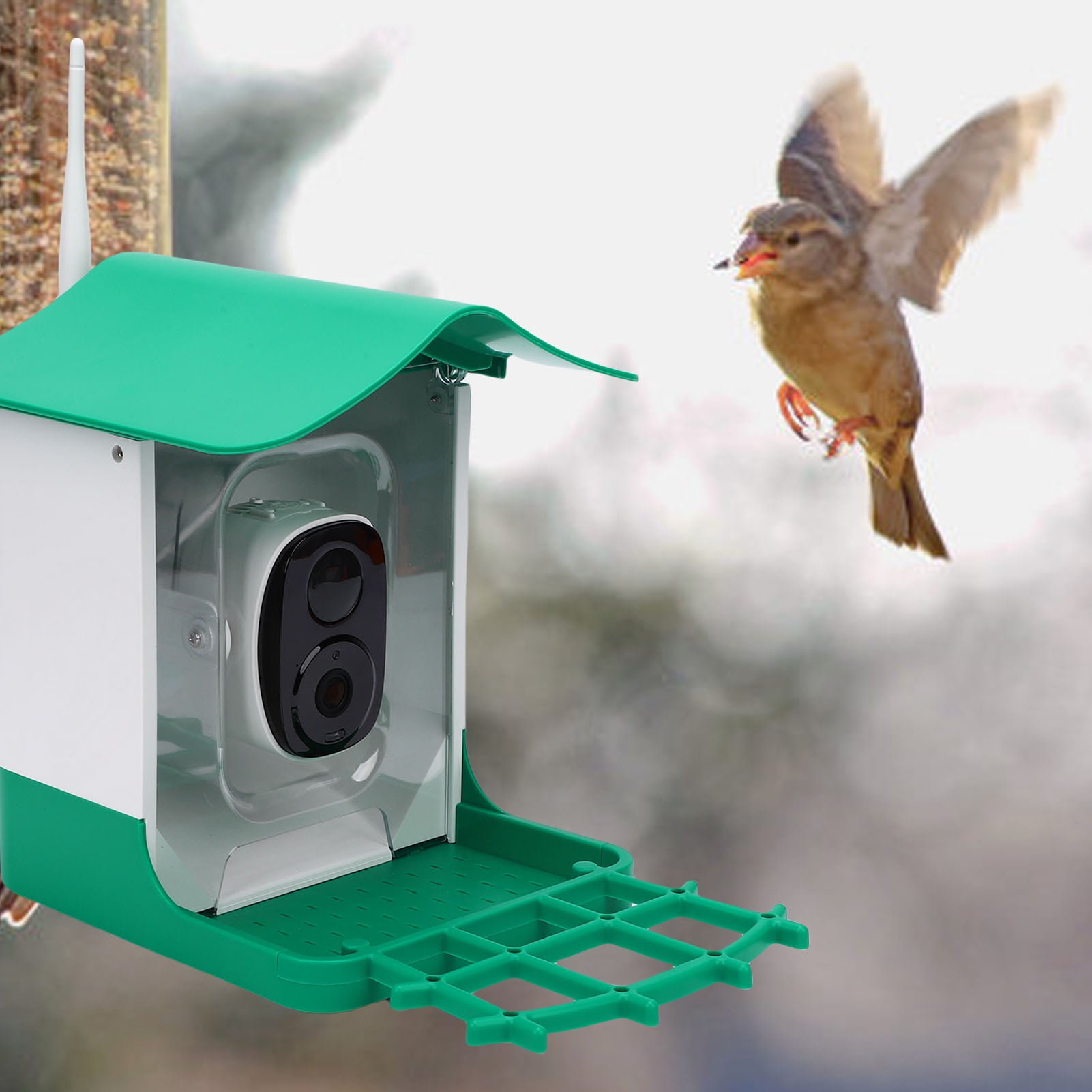 Smart Bird Feeder with Camera Solar Panel HD Video Birds House Weatherproof for Effortless Bird Watching