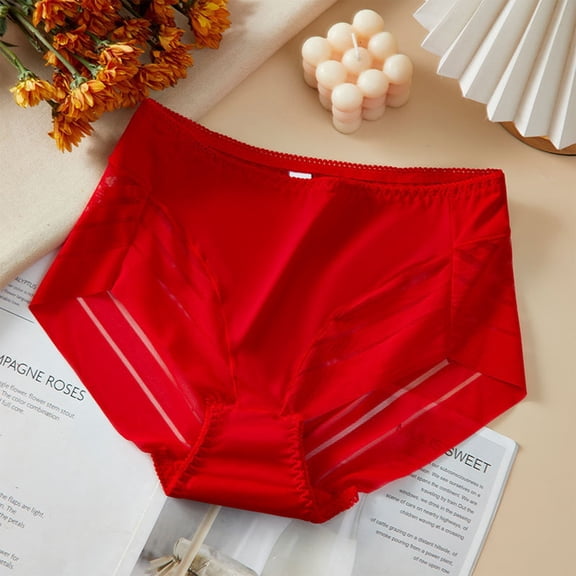 Wancir High Waisted Underwear for Women Lace Briefs Curvy Silky French Cut Panties Multipack