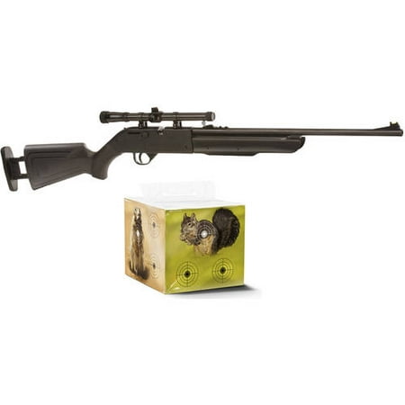 Crosman Recruit .177 Caliber Air Rifle and Shooting Block (Best All Weather Rifle)
