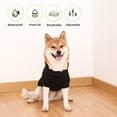 thumbnail image 5 of Hadanceo Pet Hoodie Spring Autumn Winter Soft Thick Cozy Solid Color Two-legged Medium Large Dog Sweatshirt Outfit Clothes Pet Supplies, 5 of 7
