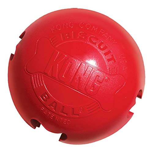 kong puppy activity ball dog toy