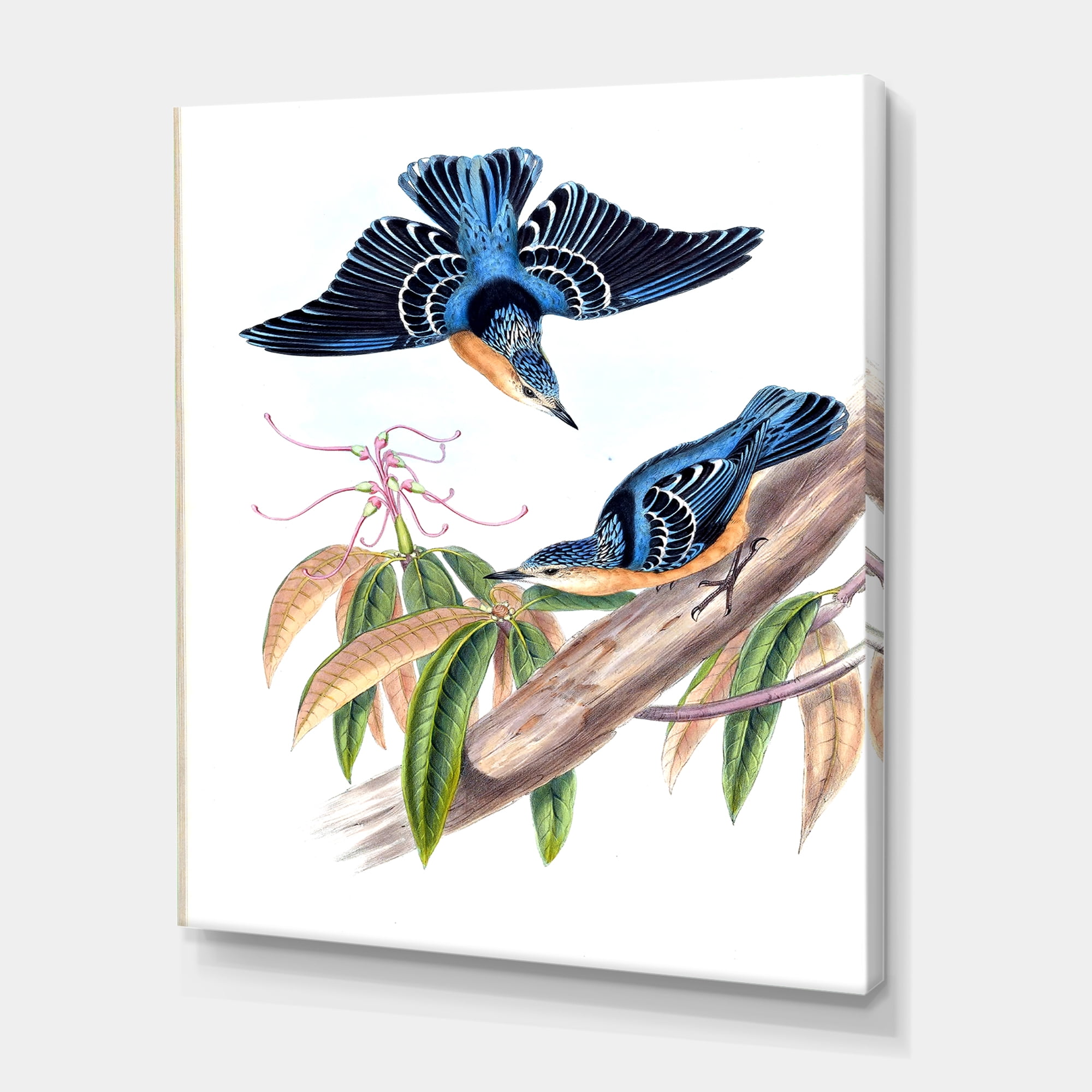 Designart ' Vintage Countryside Birds On Branch V ' Farmhouse Canvas Wall Art Print