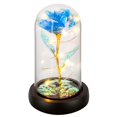 thumbnail image 1 of Flor Gift Childom Rainbow Rose en cúpula de cristal para mujer, 1 of 7