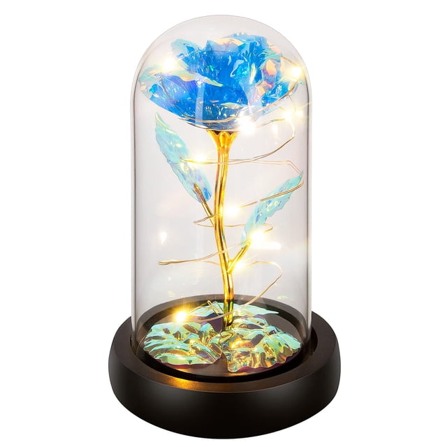 Flor Gift Childom Rainbow Rose en cúpula de cristal para mujer