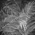 thumbnail image 2 of Allen, Kimberly 15x15 White Modern Wood Framed Museum Art Print Titled - Black And White Palm 2, 2 of 4