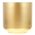 thumbnail image 1 of KAKOWELY Maceta de exterior de hierro para suculentas, estilo moderno, de metal, dorada, 1 of 4
