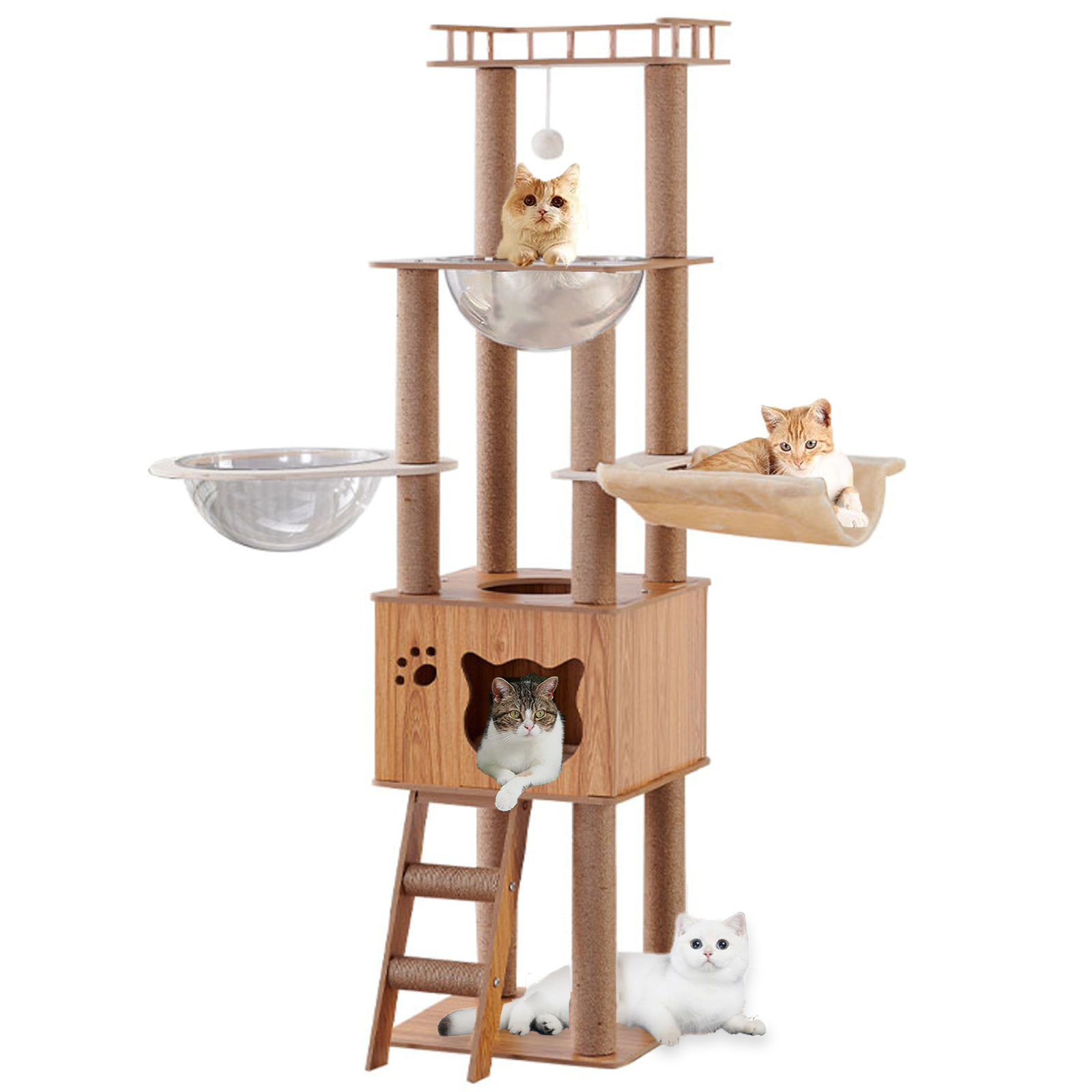 Mekidulu 61in Tall Wooden Cat Tree with 2 Transparent Capsule Pods, 6-Level Heavy Duty Wood Cat Tower for Large Cats, Dark Wood