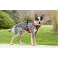 PetSafe EasySport Dog Harness, Adjustable, Padded with Handle