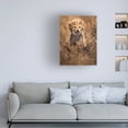 thumbnail image 2 of Trademark Fine Art Ahmed Sobhi Big Smile Canvas Wall Art, 2 of 4