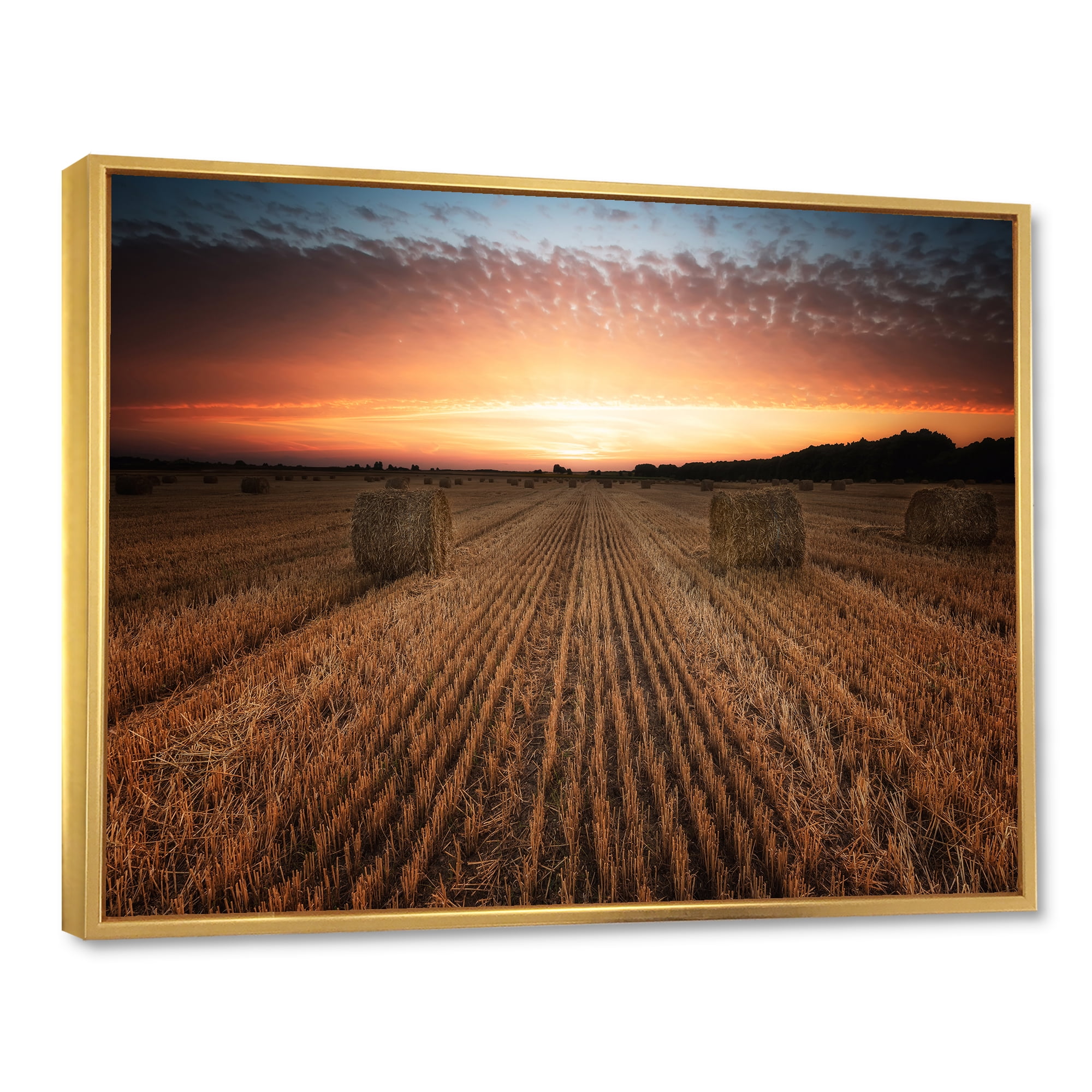 Designart 'A Field Full of Hay Bales At Sunset Landscape' Farmhouse Framed Canvas Wall Art Print