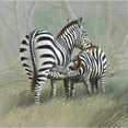thumbnail image 3 of Weenink, Jan 20x20 Black Modern Framed Museum Art Print Titled - Two zebras, 3 of 5